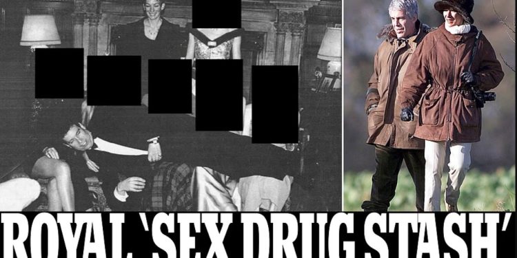 Zbulohet: ‘Droga seksuale e fshehur në banjo’ në festën ku u bë fotografia e Andrew nga Epstein Files