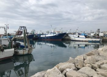 Elektriçisti 24-vjeçar humb jetën pasi ra në kontakt me rrymën elektrike në Portin e Durrësit