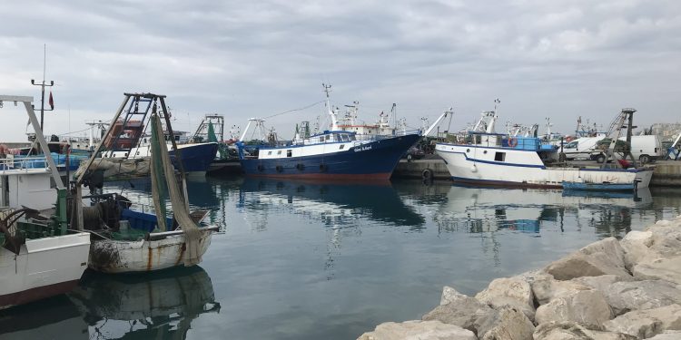 Elektriçisti 24-vjeçar humb jetën pasi ra në kontakt me rrymën elektrike në Portin e Durrësit