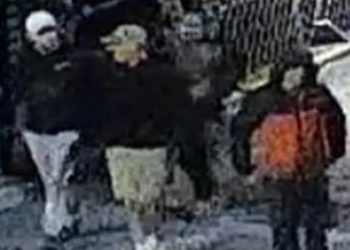 Britani: Hajdutët vjedhin qindra artefakte nga Muzeu i Bristolit