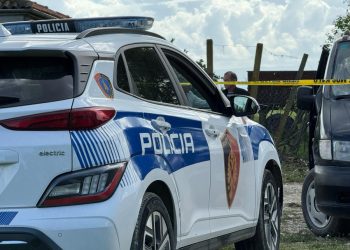 E shpallur në kërkim ndërkombëtar për vjedhje me dhunë, arrestohet në Serbi 23-vjeçarja