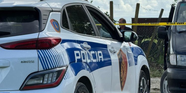 E shpallur në kërkim ndërkombëtar për vjedhje me dhunë, arrestohet në Serbi 23-vjeçarja