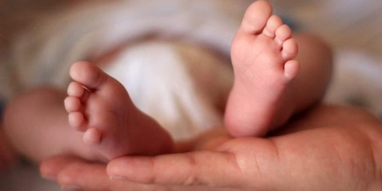 Shqipëria në vendin e 147-të në botë për lindjet, edhe Ballkani po zbrazet