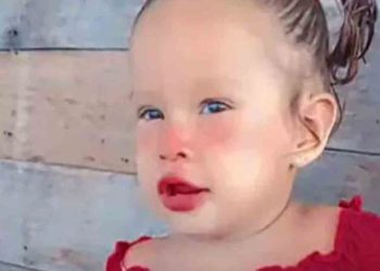 Ngjarje tronditëse në Brazil, vajza 2-vjeçare sulmohet për vdekje nga piranjat!