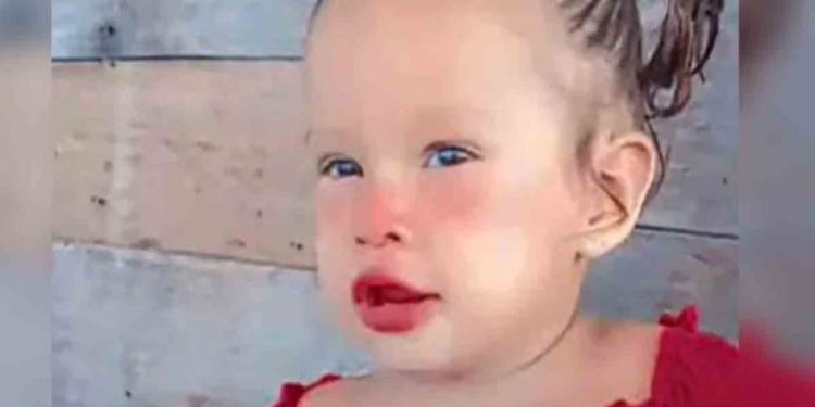 Ngjarje tronditëse në Brazil, vajza 2-vjeçare sulmohet për vdekje nga piranjat!