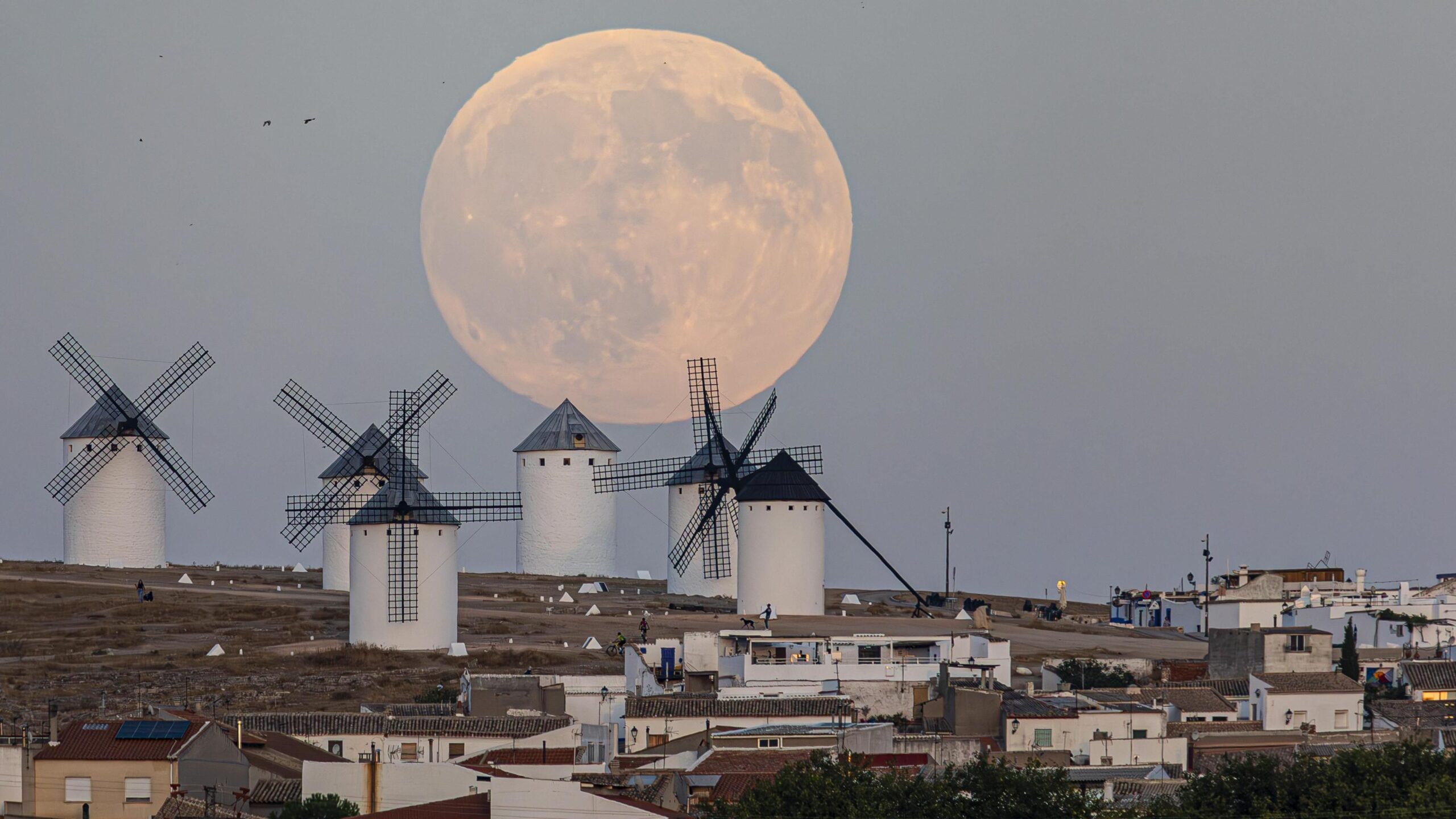 Një superhënë masive qëndron pezull mbi mullinjtë e erës në një kodër në Ciudad Real, Spanjë, në qiellin e mbrëmjes së hershme.