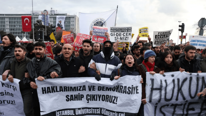 900-0-1742558927xqeveria-turke-307