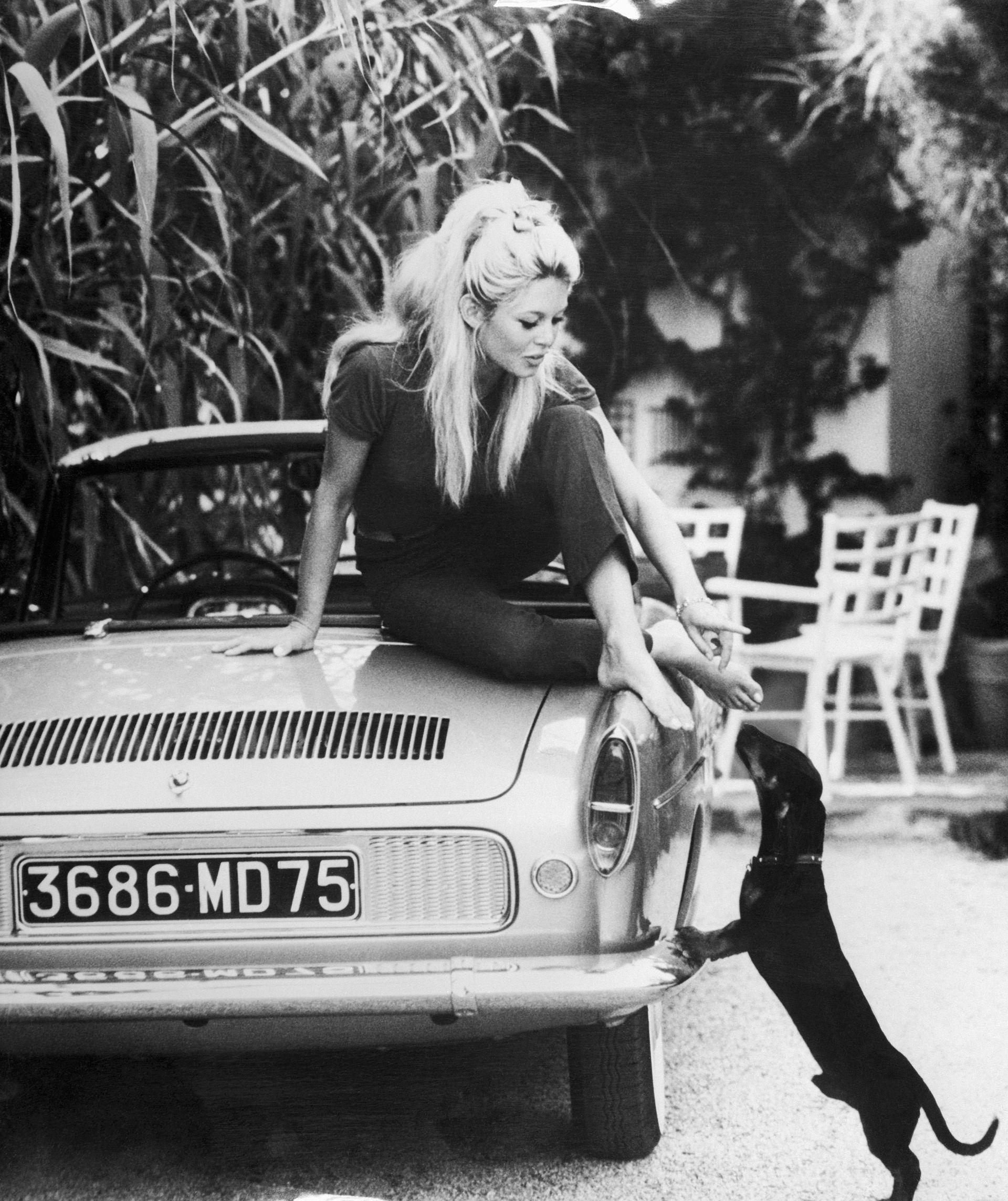 Brigitte Bardot, e ulur në bagazhin e një makine me këmbë zbathur në vilën e saj në St Tropez, ndërsa qenushi i saj dachshund kërcen drejt saj.