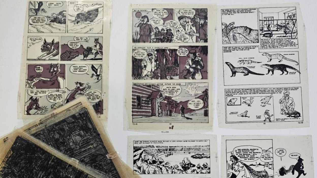 Faqe nga botimet e vjetra të Amar Chitra Katha dhe Tinkle të shpërndara mbi një sipërfaqe të bardhë.