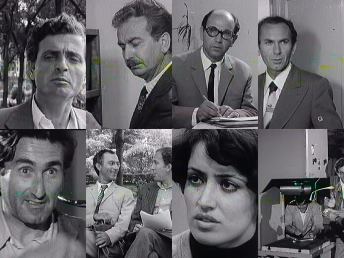 collage-dorina