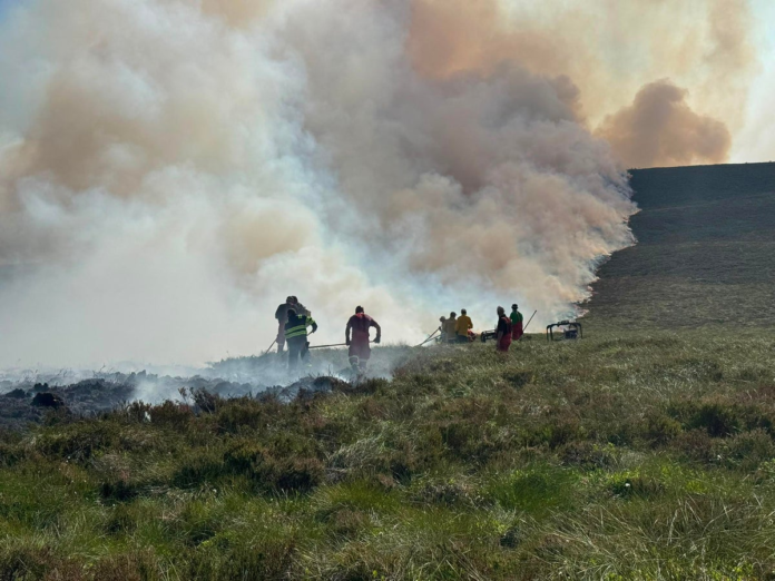 79129063-97e1-4fee-b781-b83d1a16c97c